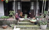 Xem làng cổ Yên Trường gói bánh chưng đón Tết